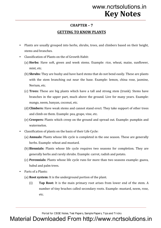 class 6 science notes CHAPTER – 7  GETTING TO KNOW PLANTS