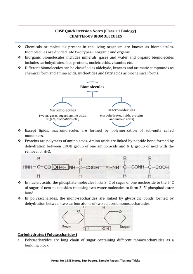 CBSE Quick Revision Notes (Class-11 Biology)  CHAPTER-09 BIOMOLECULES